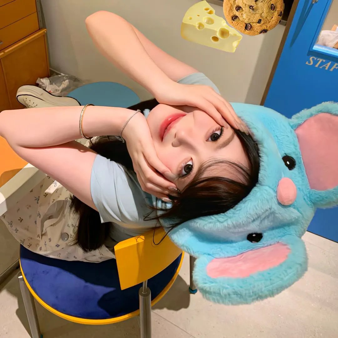 狗也爱钻石